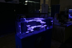 2019-Oceanika-Wystawa-Zdjecie-130-Oceanika