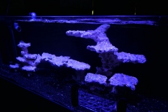 2019-Oceanika-Wystawa-Zdjecie-131-Oceanika