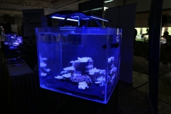2019-Oceanika-Wystawa-Zdjecie-132-Oceanika