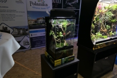 2019-Oceanika-Wystawa-Zdjecie-136-Oceanika