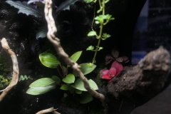 2019-Oceanika-Wystawa-Zdjecie-137-Oceanika