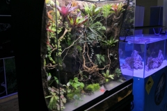 2019-Oceanika-Wystawa-Zdjecie-138-Oceanika