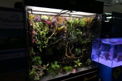 2019-Oceanika-Wystawa-Zdjecie-139-Oceanika