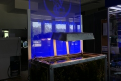 2019-Oceanika-Wystawa-Zdjecie-148-Wawarium