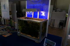 2019-Oceanika-Wystawa-Zdjecie-149-Wawarium