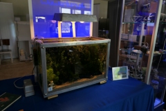 2019-Oceanika-Wystawa-Zdjecie-150-Wawarium