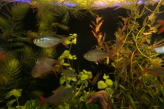 2019-Oceanika-Wystawa-Zdjecie-151-Wawarium