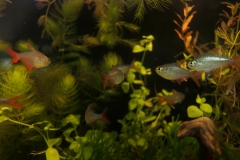 2019-Oceanika-Wystawa-Zdjecie-152-Wawarium