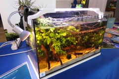 2019-Oceanika-Wystawa-Zdjecie-153-Wawarium