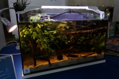 2019-Oceanika-Wystawa-Zdjecie-154-Wawarium