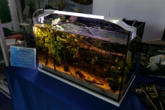 2019-Oceanika-Wystawa-Zdjecie-155-Wawarium