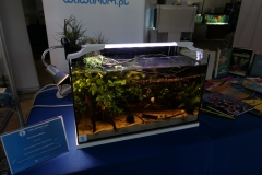 2019-Oceanika-Wystawa-Zdjecie-156-Wawarium