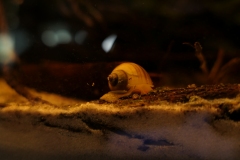 2019-Oceanika-Wystawa-Zdjecie-157-Wawarium