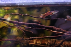 2019-Oceanika-Wystawa-Zdjecie-158-Wawarium