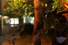 2019-Oceanika-Wystawa-Zdjecie-160-Wawarium