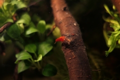 2019-Oceanika-Wystawa-Zdjecie-162-Wawarium