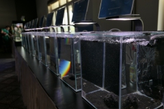 2019-Oceanika-Wystawa-Zdjecie-163-Wawarium