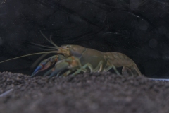 2019-Oceanika-Wystawa-Zdjecie-165-Wawarium