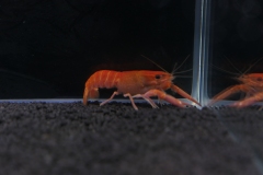 2019-Oceanika-Wystawa-Zdjecie-167-Wawarium