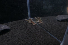 2019-Oceanika-Wystawa-Zdjecie-169-Wawarium