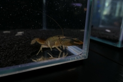 2019-Oceanika-Wystawa-Zdjecie-170-Wawarium