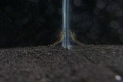 2019-Oceanika-Wystawa-Zdjecie-171-Wawarium