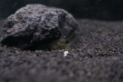 2019-Oceanika-Wystawa-Zdjecie-173-Wawarium