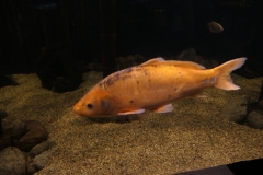 2019-Oceanika-Zdjecie-022