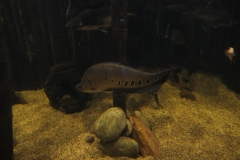 2019-Oceanika-Zdjecie-023