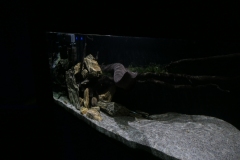 2019-Oceanika-Zdjecie-046