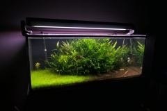 2019-Oceanika-Zdjecie-047