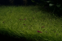 2019-Oceanika-Zdjecie-048