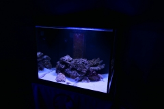 2019-Oceanika-Zdjecie-049