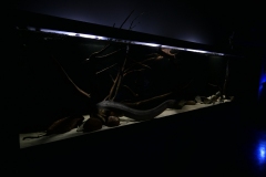 2019-Oceanika-Zdjecie-052