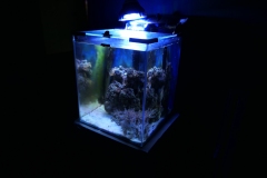 2019-Oceanika-Zdjecie-053