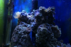 2019-Oceanika-Zdjecie-054