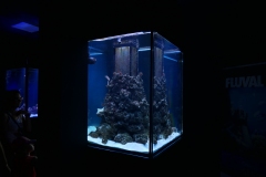 2019-Oceanika-Zdjecie-056