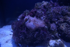 2019-Oceanika-Zdjecie-060