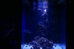 2019-Oceanika-Zdjecie-061