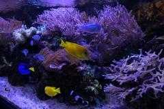 2019-Oceanika-Zdjecie-067