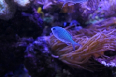 2019-Oceanika-Zdjecie-068