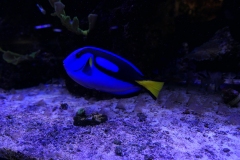 2019-Oceanika-Zdjecie-069