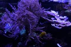 2019-Oceanika-Zdjecie-076