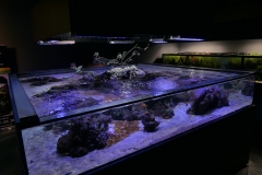 2019-Oceanika-Zdjecie-086