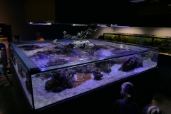 2019-Oceanika-Zdjecie-087