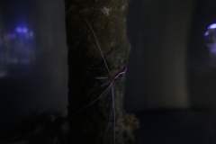 2019-Oceanika-Zdjecie-089