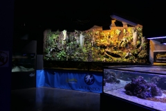 2019-Oceanika-Zdjecie-090