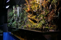 2019-Oceanika-Zdjecie-091