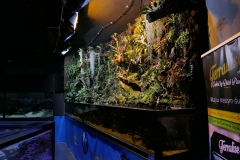 2019-Oceanika-Zdjecie-092