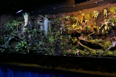 2019-Oceanika-Zdjecie-093